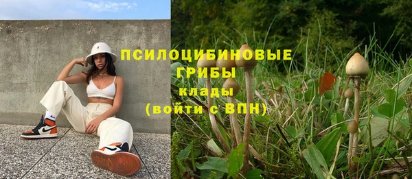 каннабис Богданович
