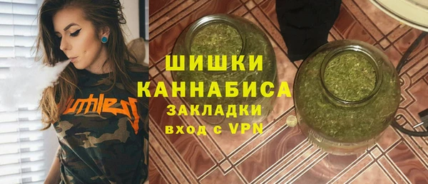 шишки Белокуриха