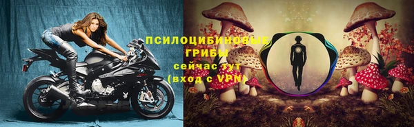 a pvp Пролетарск