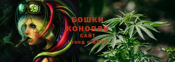 трава Протвино